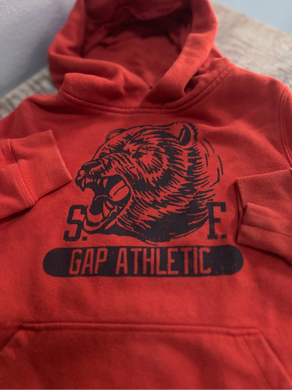 GAP Red Kids Hoodie with Bear Graphic